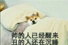 QQ图片20180803092824